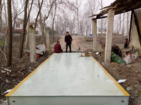 信阳市桃林镇木材收购点30吨地磅