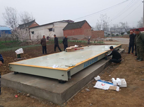 漯河殿高农业合作社8m-60吨地磅