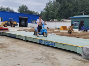 叶县世嘉农业机械销售公司100吨地磅