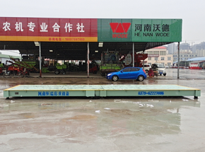 平顶山叶县兴民农机合作社50吨地磅