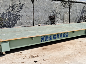 河南亿森源生物科技100吨地磅