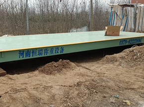 周口淮阳区林场桥树苗批发市场30吨地磅