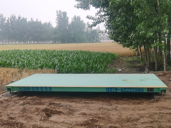 周口鹿邑县马铺镇庞王庄粮食收购站20吨地磅