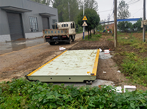 驻马店市大卢村农业合作社30吨地磅