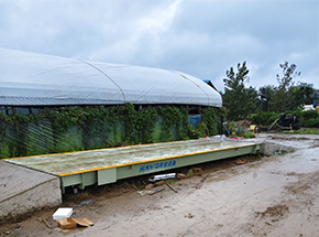 开封兰考县后赵寨种植合作社40吨地磅