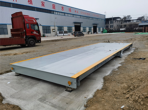 安徽亳州马韬鲤种植家庭农场60吨地磅