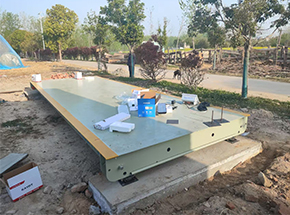 安徽颍上县李宝申家庭农场40吨