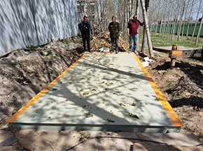 周口扶沟祥晨种业30吨地磅