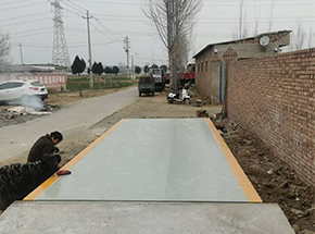 焦作沁阳北金村农业合作社30吨