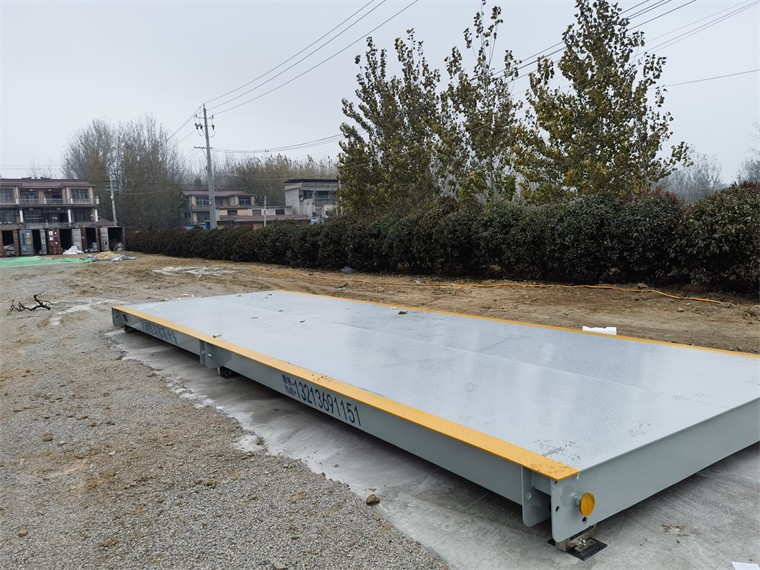 安徽亳州马韬鲤农场01