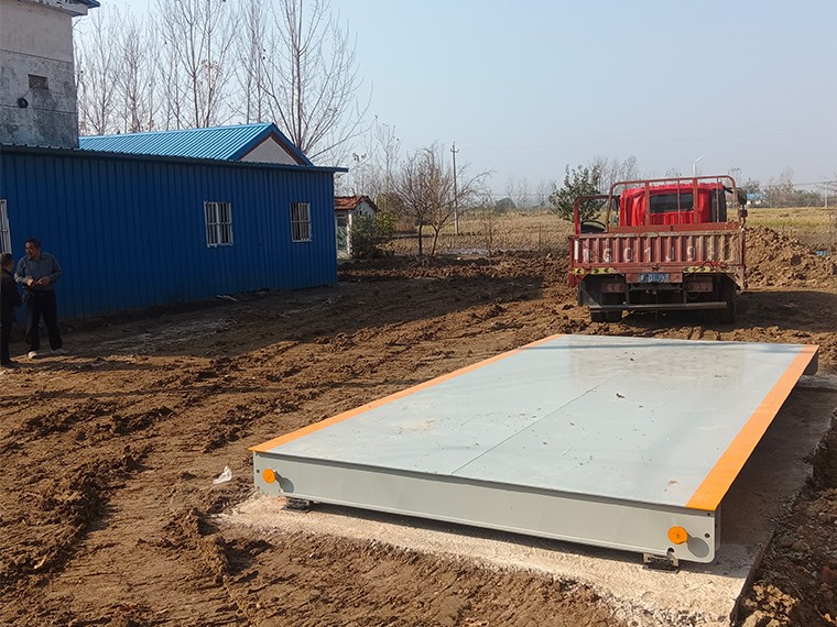 固始县传伟家庭农场1