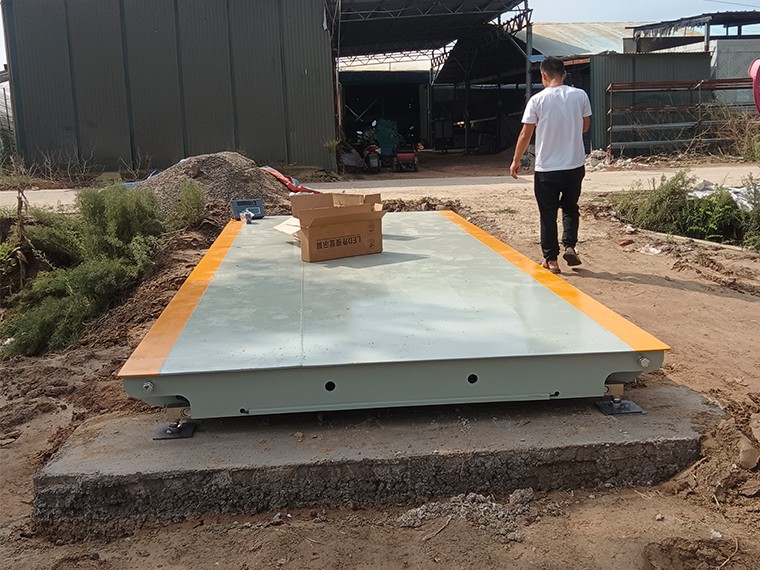 周口太康县马头镇菌业1