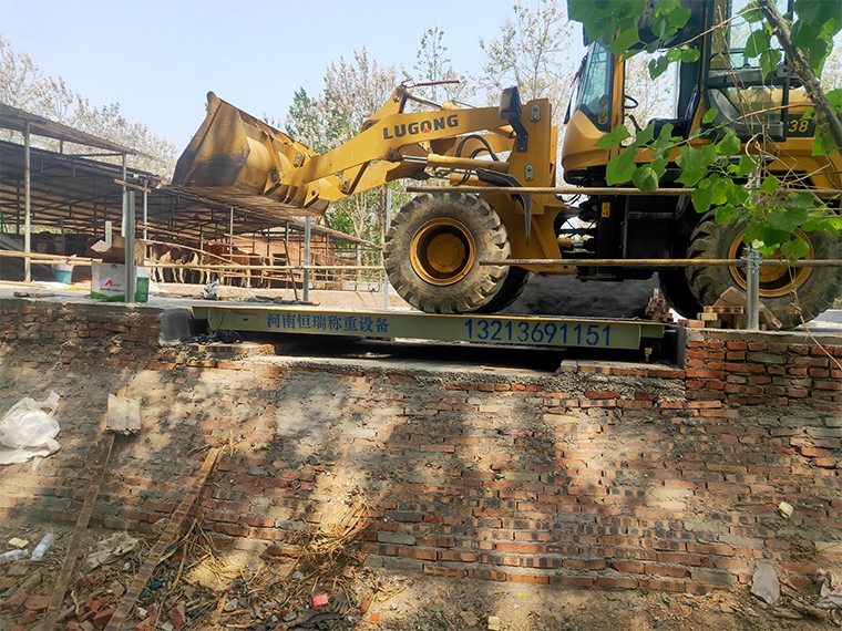 许昌水潮店养牛场1