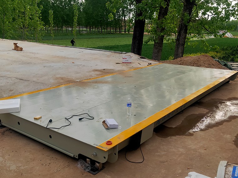 鄢陵县彭店镇大蒜收购2