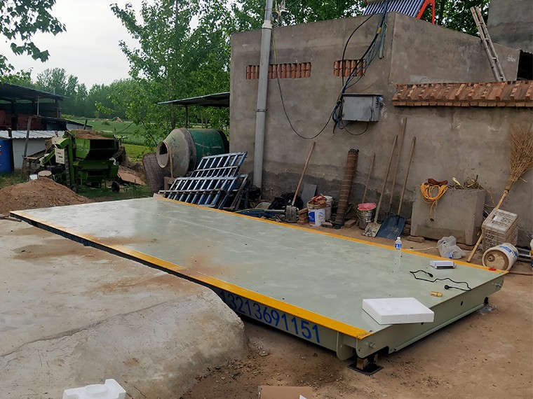 鄢陵县彭店镇大蒜收购1