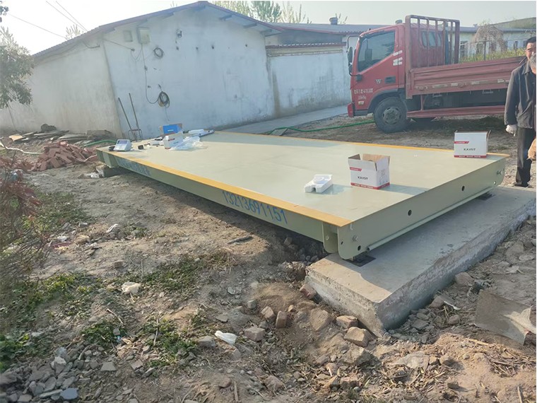 安徽李宝申家庭农场1