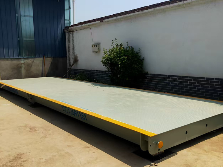 焦作温县泰元怀药1